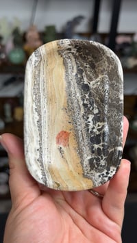 Image 3 of Dendritic Calcite Dishes