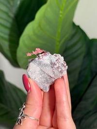 Image 1 of COPPER X MALACHITE STAINED QUARTZ -MOROCCO- Q