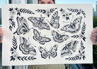 Image 1 of Print A3 • Butterflies 