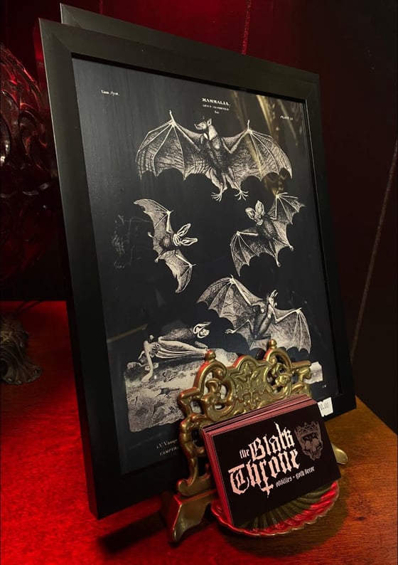 Image of Bat Print