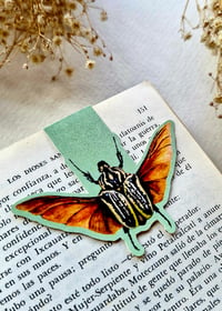 Image 8 of Magnetic Insect Bookmarks 