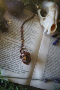 Image 1 of Harvest Moon Acorn 