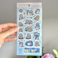 Image 1 of Stargazing Bandit