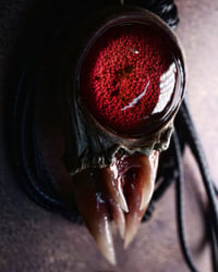 Image 11 of Crimson Oracle Snaggletooth Pendant OOAK