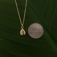 Image 2 of Golden Teardrop