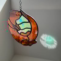 Image 4 of Playful Otter