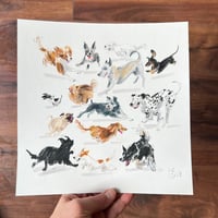 ORIGINAL ARTWORK - Midday Zoomies - 25x25cm