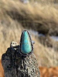 Image 1 of Turquoise Mountain Bloom