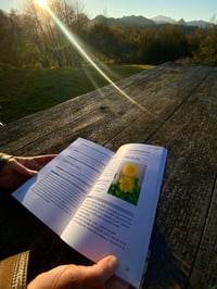Image 3 of Libro Alquimia Viva