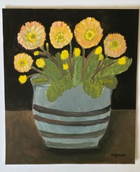 Geum flowers in a striped pot