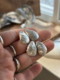 Image 1 of Brackish Oysters