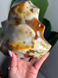 Image 3 of XL ORCA CARNELIAN FLAME -MADAGASCAR-