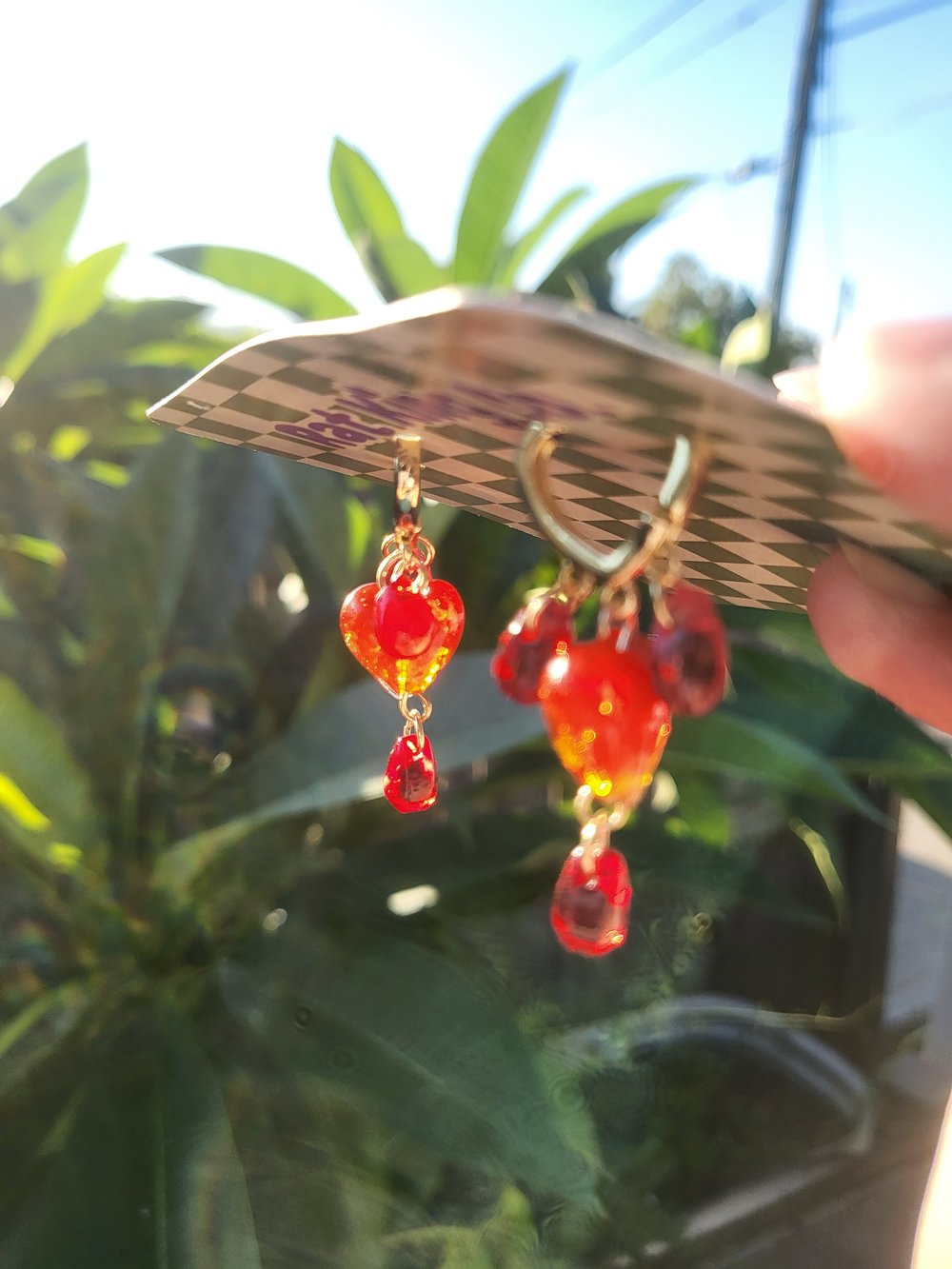 Image of Bleeding hearts