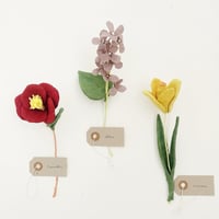 Image 1 of cocon flower 2