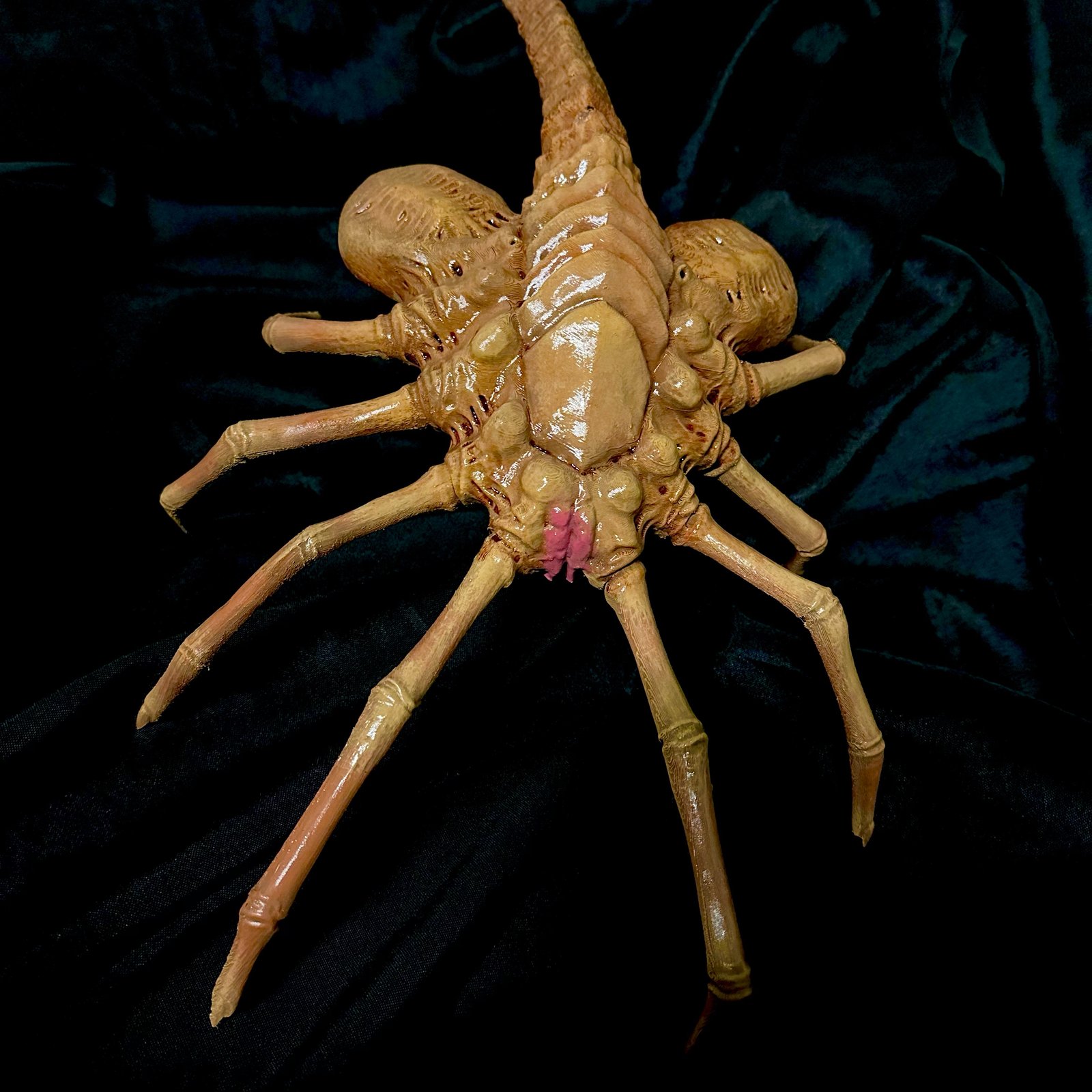 1:1 Scale Facehugger Replica | Chris Owen Art