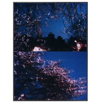 Image 5 of SPRING NIGHT