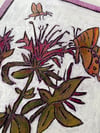 Bergamot