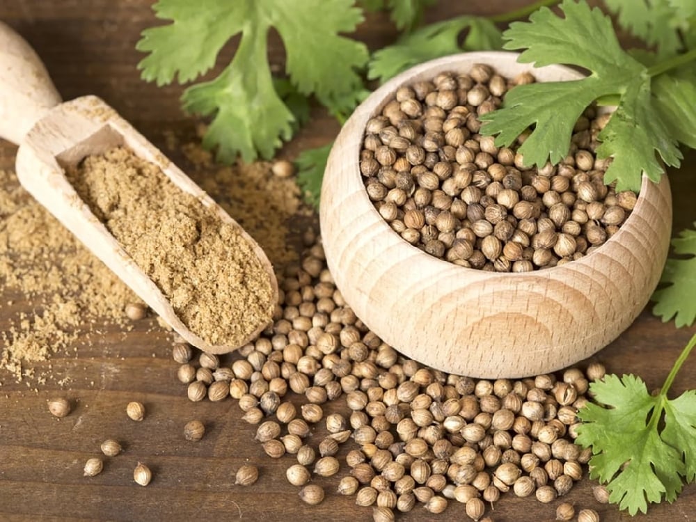 Coriander aka Cilantro Seeds (Fine Ground) 1 oz. Shaker