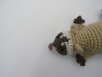 Image 4 of Raccoon Charms