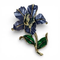 Image 1 of Pistil Ivy