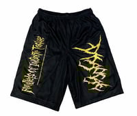 Image 3 of Disgorge Shorts