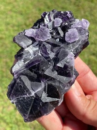 Image 3 of Purple Cubic Fluorite Specimen #1614