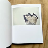 Image 5 of Rinko Kawauchi - Des Oiseaux (Signed)