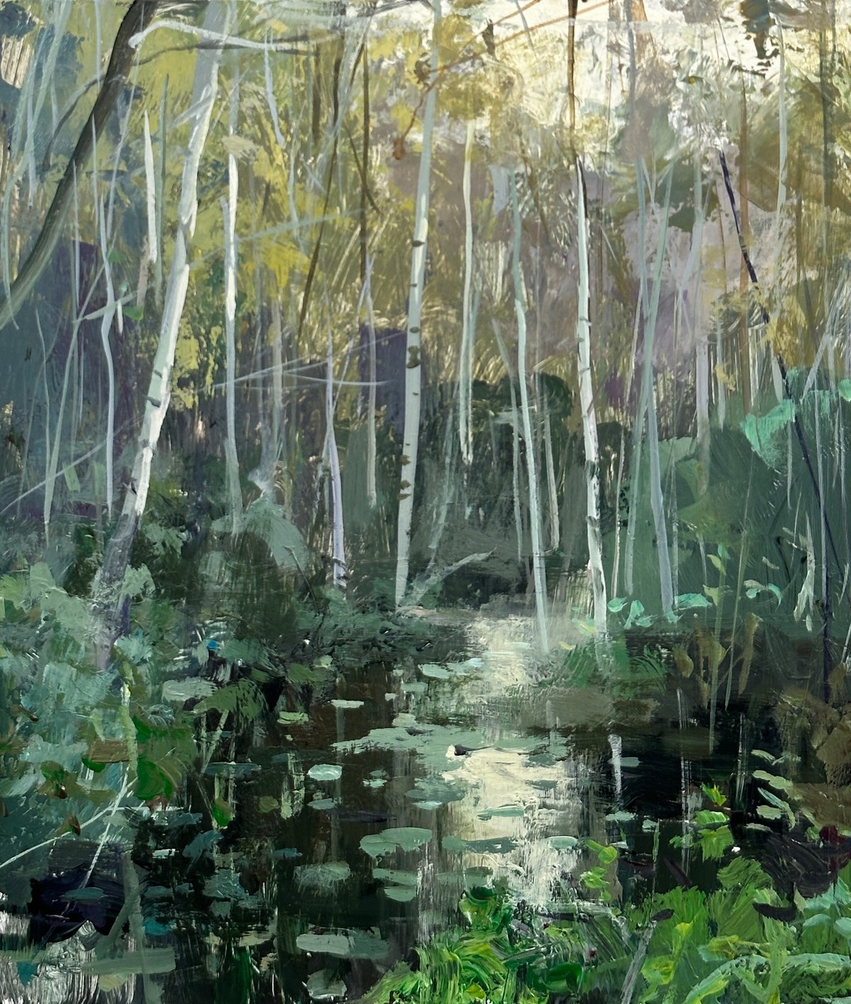 Image of Birch Swamp