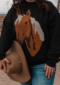Image 3 of Pecos Palomino