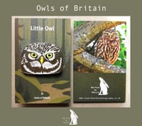 Image 1 of Little Owl - No.1 - Owls Of Britain Series