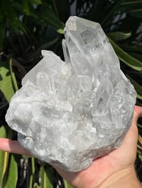 Image 18 of Clear Quartz Points Cluster Statement Piece #2446