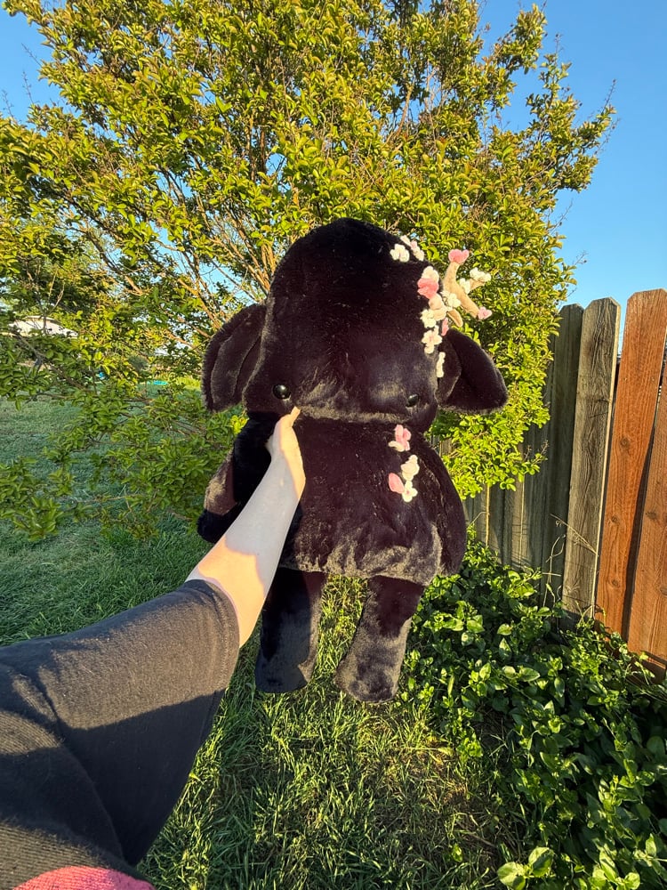 Image of Void cherry blossom protector (payment 1)