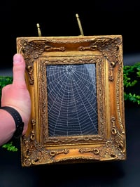 Image 2 of Beautiful Ornate vintage  Framed preserved Web