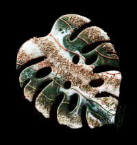 Image 1 of Homebody