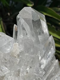Image 3 of Clear Quartz Points Cluster Statement Piece #2446