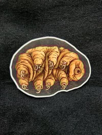 Image 1 of Tardigrade Sticker 