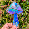 Iridescent blue Catch a Falling Star mushroom 