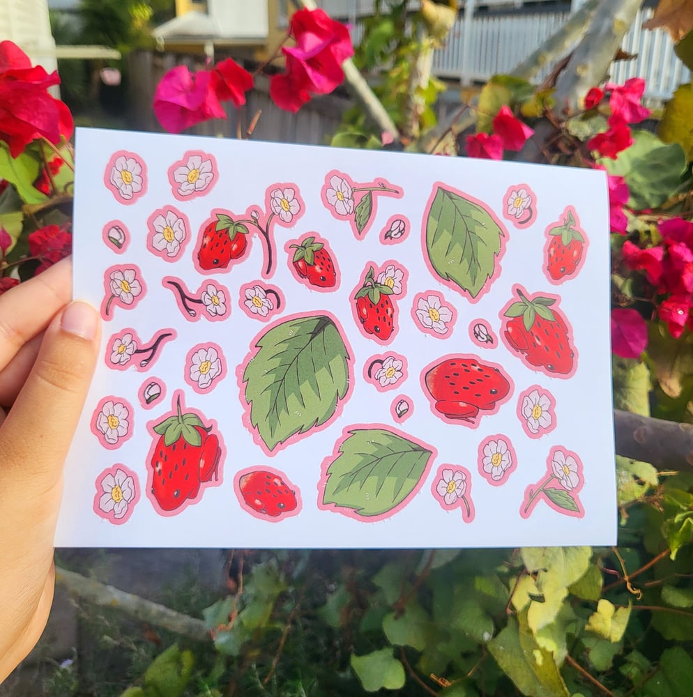 Image of Strawberry frog stickers - C grade 🐸 