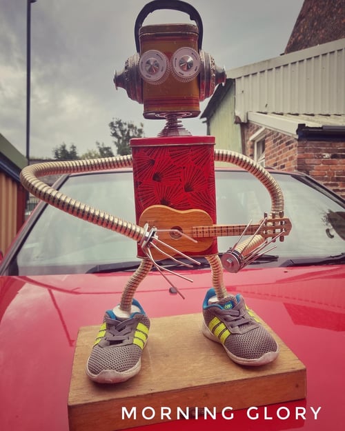 Image of Morning Glory