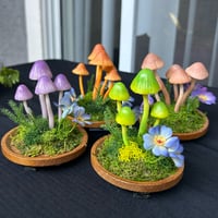 Image 1 of Lil mushroom led