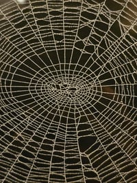 Image 5 of Ornate vintage glass vanity tray with preserved web 2