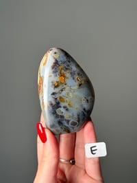 Image 5 of SEAWEED AGATE FREEFORMS