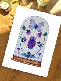 Image 6 of February Dome, Under Glass Collection