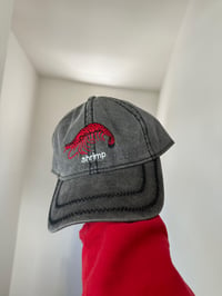 Image 5 of Shrimp hat 4