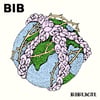 Bib - Biblical 7”