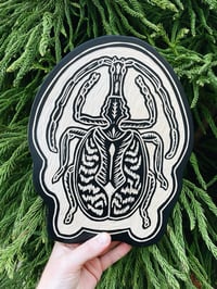 Image 1 of Violin Beetle 