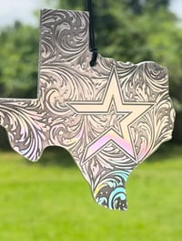 Image 1 of Astros Texas