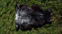 Image 2 of Harting Black Sheepskin #2