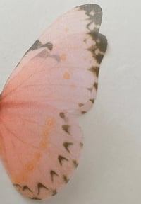 Image 2 of Peach (Larger single butterfly)