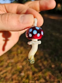 Image 3 of Amanita Muscaria #1